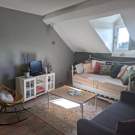 Appartement Des Hirondelles , Au Pied Du Chateau 希农 外观 照片