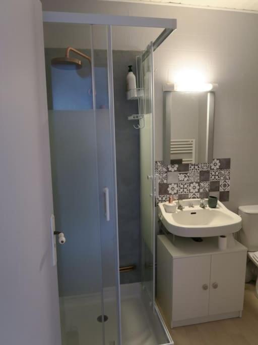 Appartement Des Hirondelles , Au Pied Du Chateau 希农 外观 照片