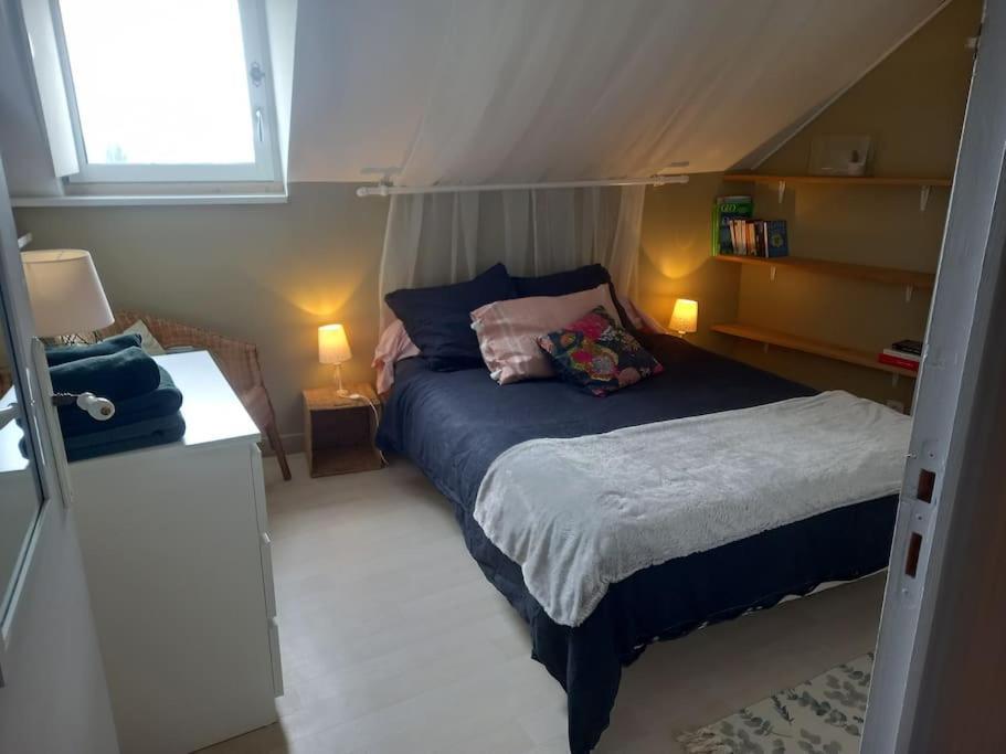 Appartement Des Hirondelles , Au Pied Du Chateau 希农 外观 照片