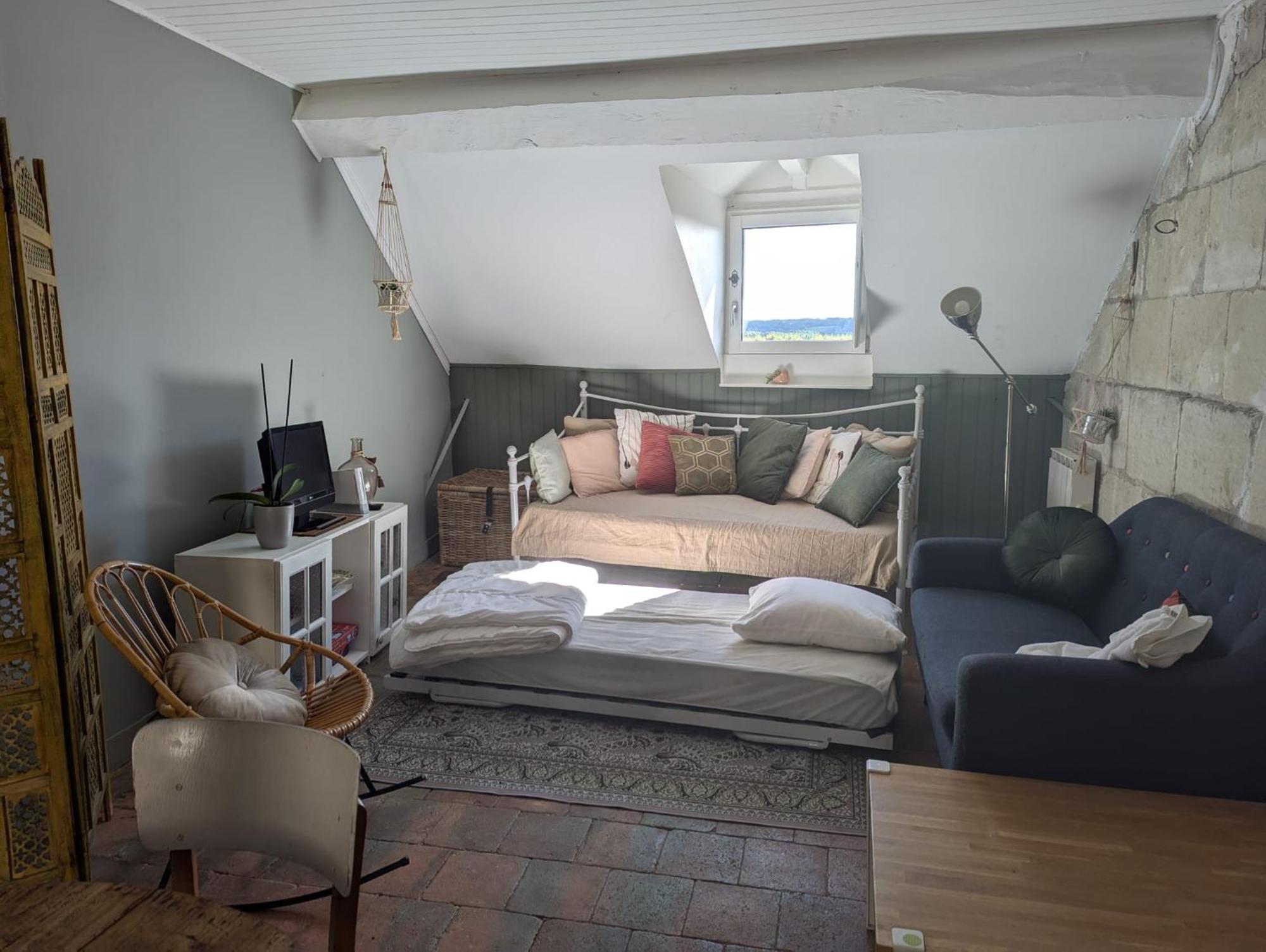 Appartement Des Hirondelles , Au Pied Du Chateau 希农 外观 照片