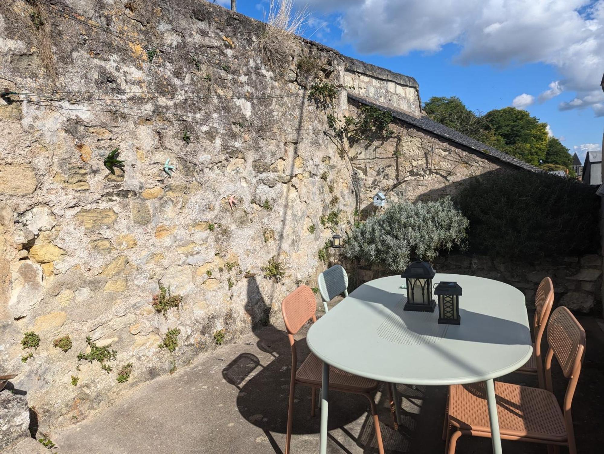 Appartement Des Hirondelles , Au Pied Du Chateau 希农 外观 照片