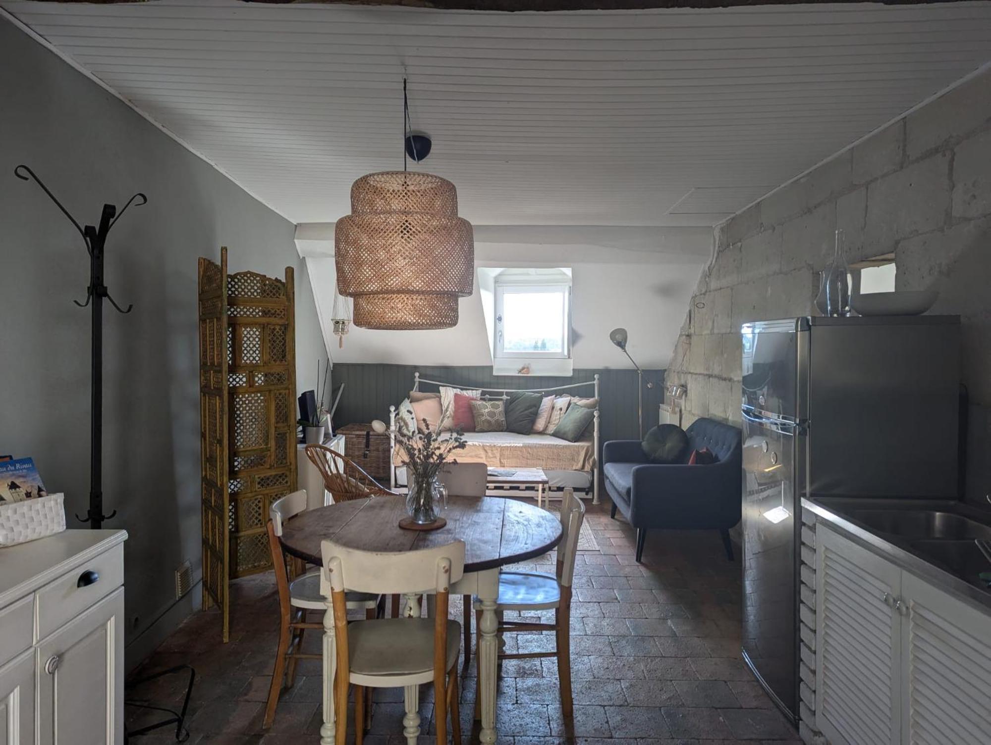 Appartement Des Hirondelles , Au Pied Du Chateau 希农 外观 照片
